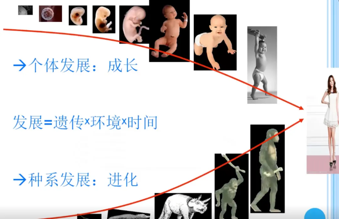 AI心理革命？揭秘科技如何改变抑郁症战局