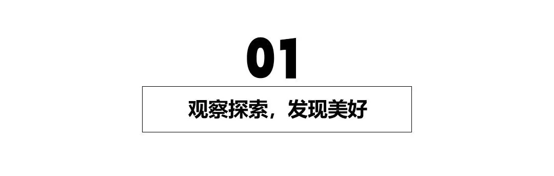 🔥50张艺术风暴！线条与色彩的狂想曲，你get了吗？🎨