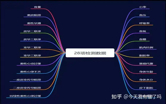 守护全生命周期，新探AI健康管理系统，您的私人健康管家？