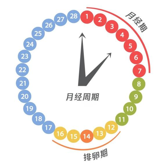 ChatGPT VS 生殖科医生，人工智能做科普究竟靠不靠谱？