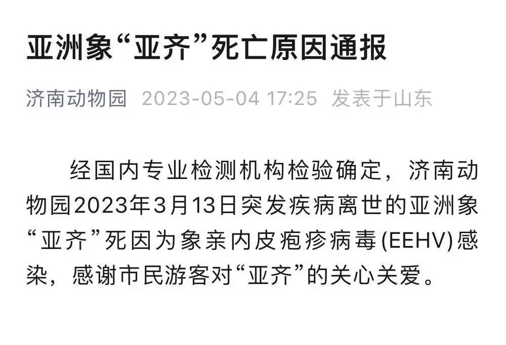 存十万多久？月薪者如何应对特斯拉名誉权案？象疫背后的工作时间真相，云宙时代成立背后的数字迷雾，AI